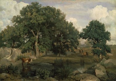 Forêt de Fontainebleau - Jean Baptiste Camille Corot